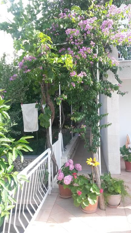 Apartments Dragan Trogir Luaran gambar